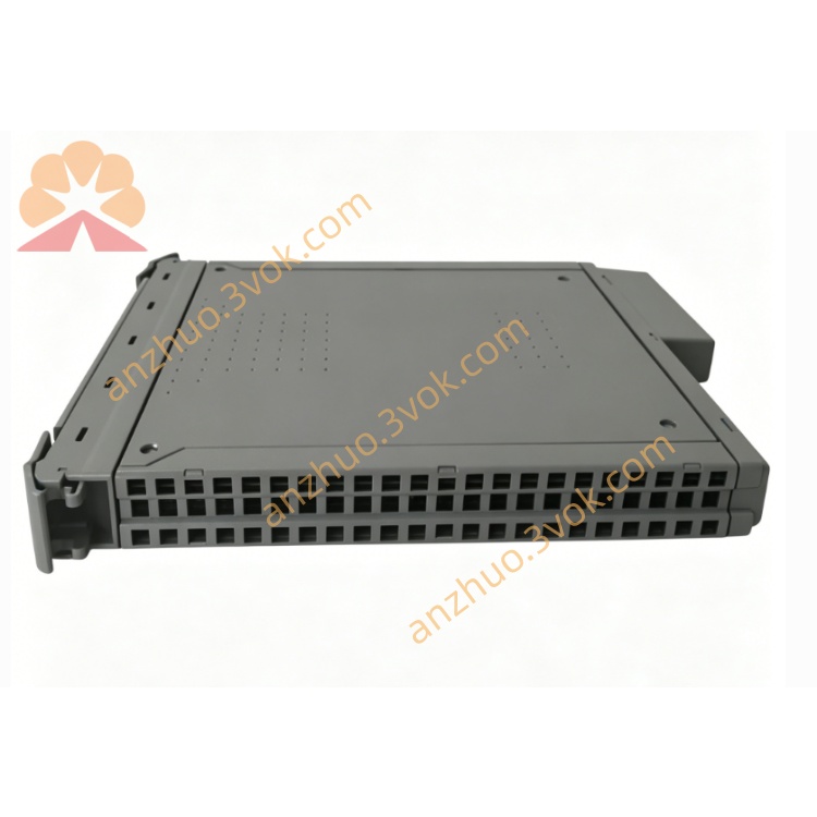 T8100(3.jpg